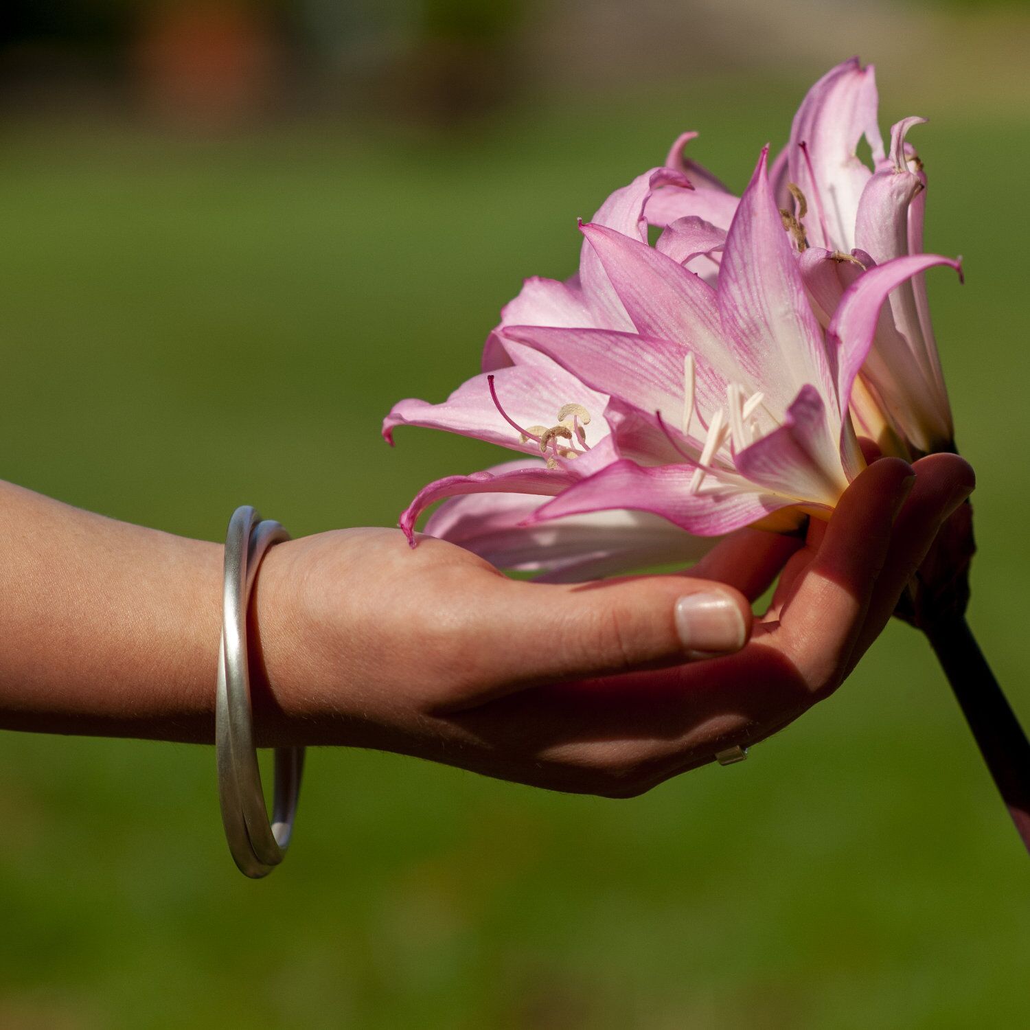 Eden 5 Solid Sterling Silver Interlocking Bangle 2 The Eden 5 Solid Silver Interlocking Bracelet 2 x 5mm wide